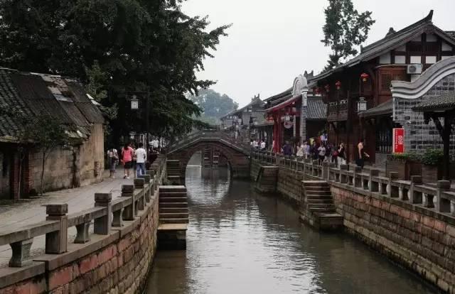 拯救穆尔小马